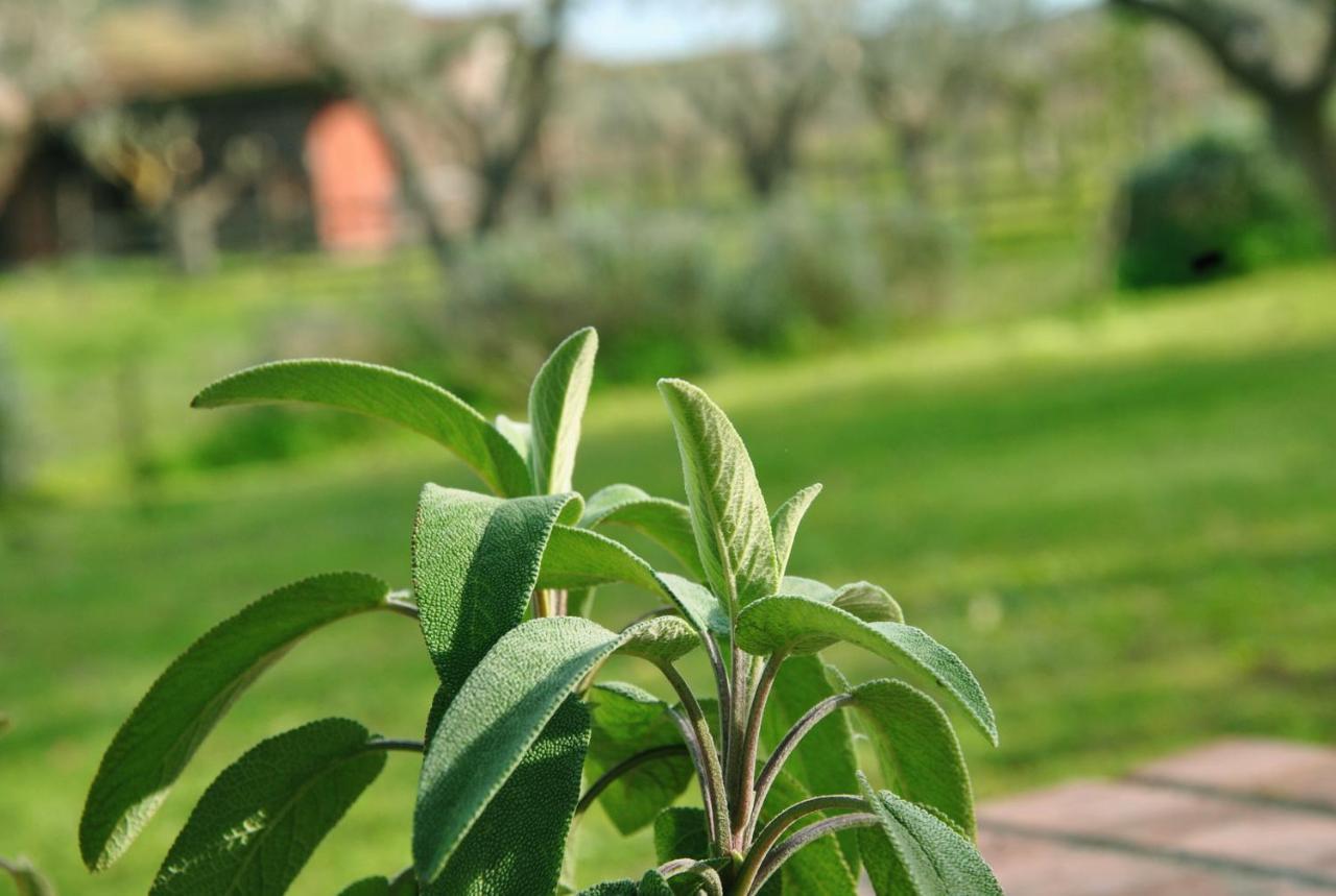 Agriturismo La Mandragola Relais Crotone Buitenkant foto