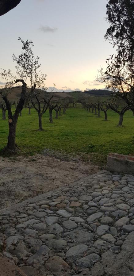 Agriturismo La Mandragola Relais Crotone Buitenkant foto