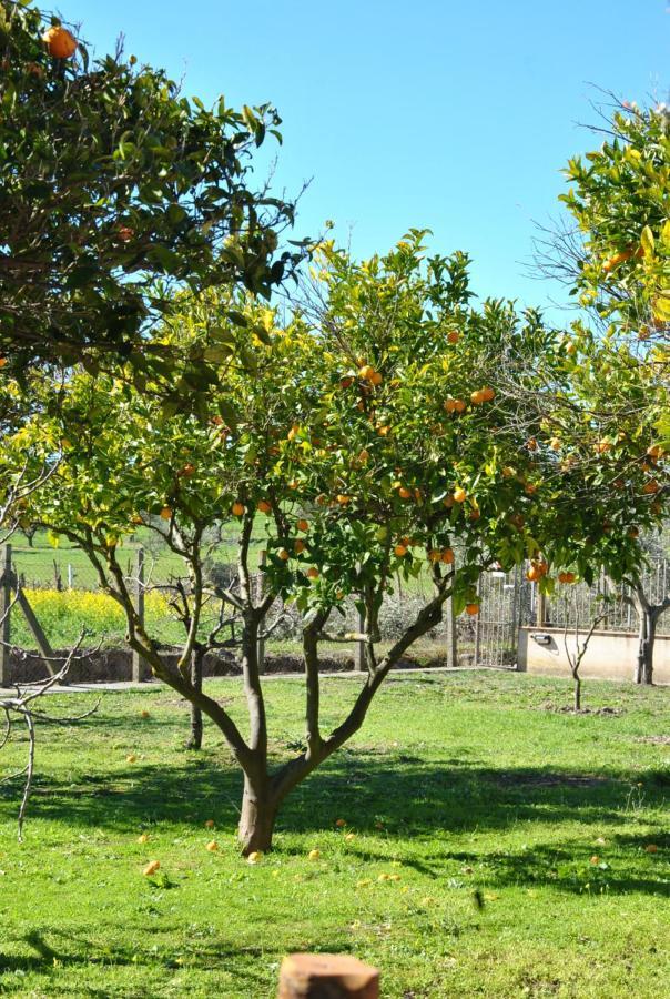 Agriturismo La Mandragola Relais Crotone Buitenkant foto