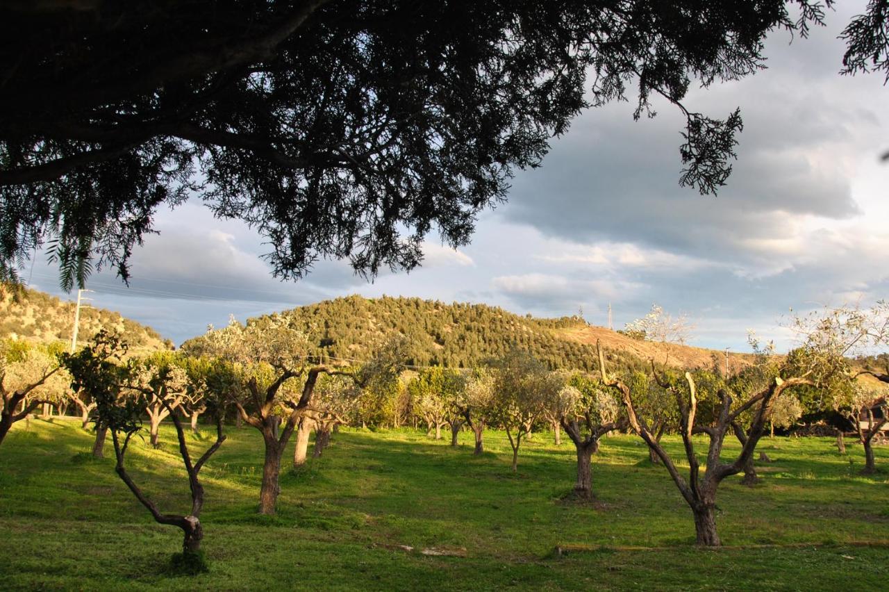 Agriturismo La Mandragola Relais Crotone Buitenkant foto