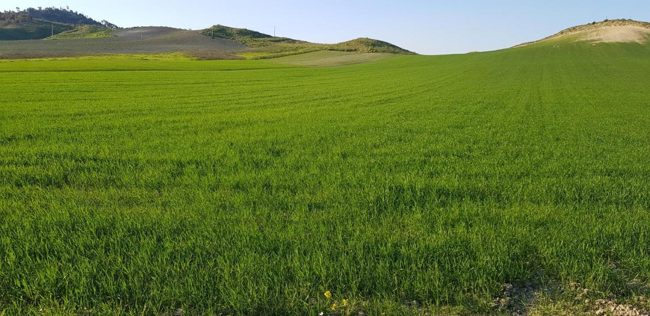 Agriturismo La Mandragola Relais Crotone Buitenkant foto
