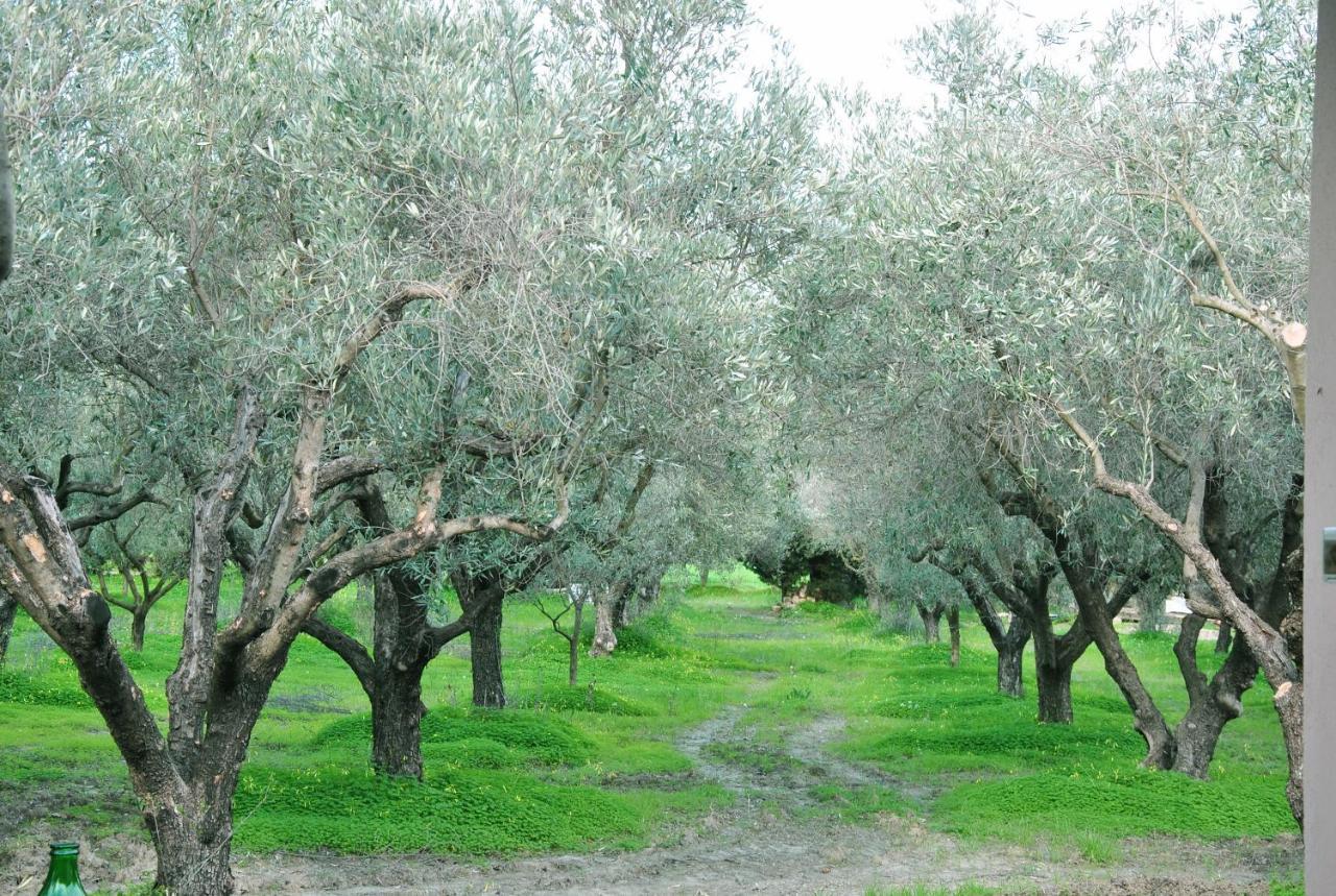 Agriturismo La Mandragola Relais Crotone Buitenkant foto